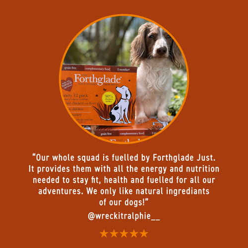 Just Chicken & Liver Complementary Wet Dog Food