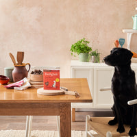 Just Beef Complementary Wet Dog Food