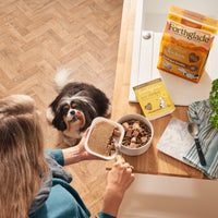 Just Chicken Complementary Wet Dog Food
