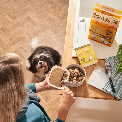 Just Chicken Complementary Wet Dog Food