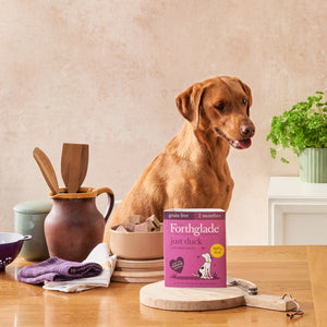 Just Duck Complementary Wet Dog Food