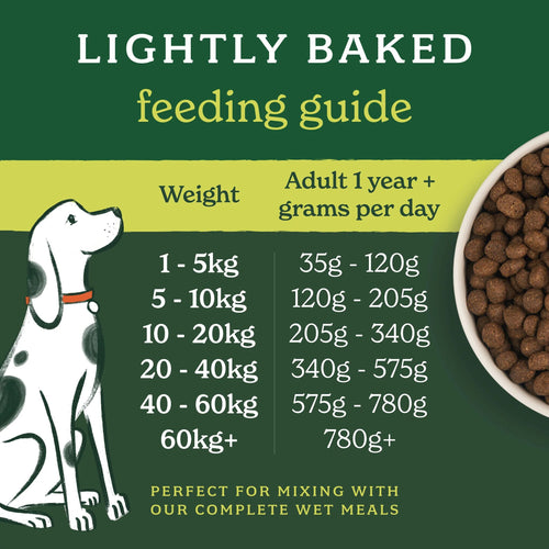 Lightly Baked Lamb Dry Dog Food