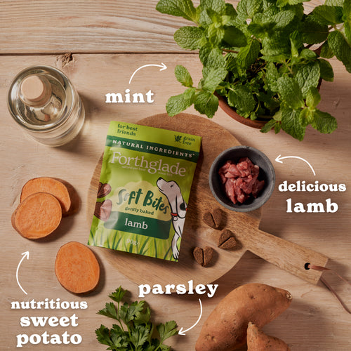 Soft Bites Lamb Dog Treats (1 x 90g)