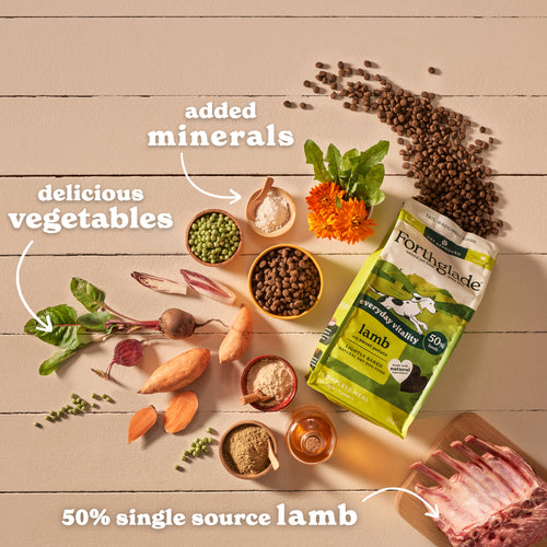 Lightly Baked Lamb Dry Dog Food