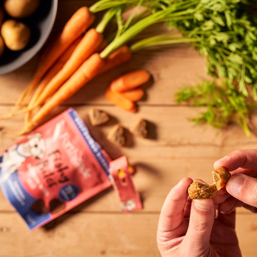 Fishy Bites - Salmon with Dill (1 x 70g)