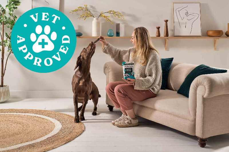 Lifestyle Vet Approved