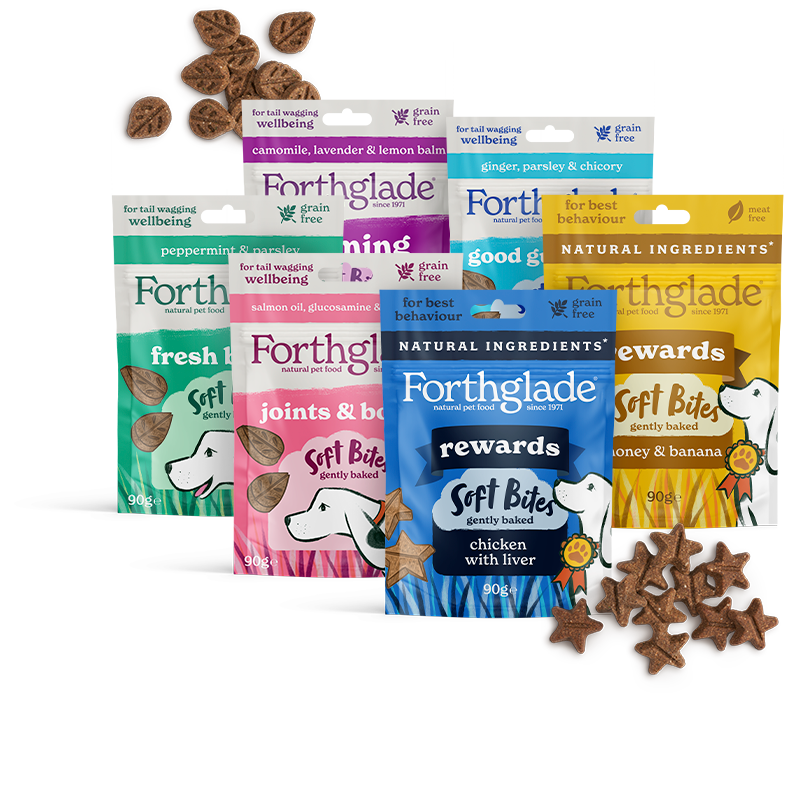 MFSB Dog Treats Bundle 790px
