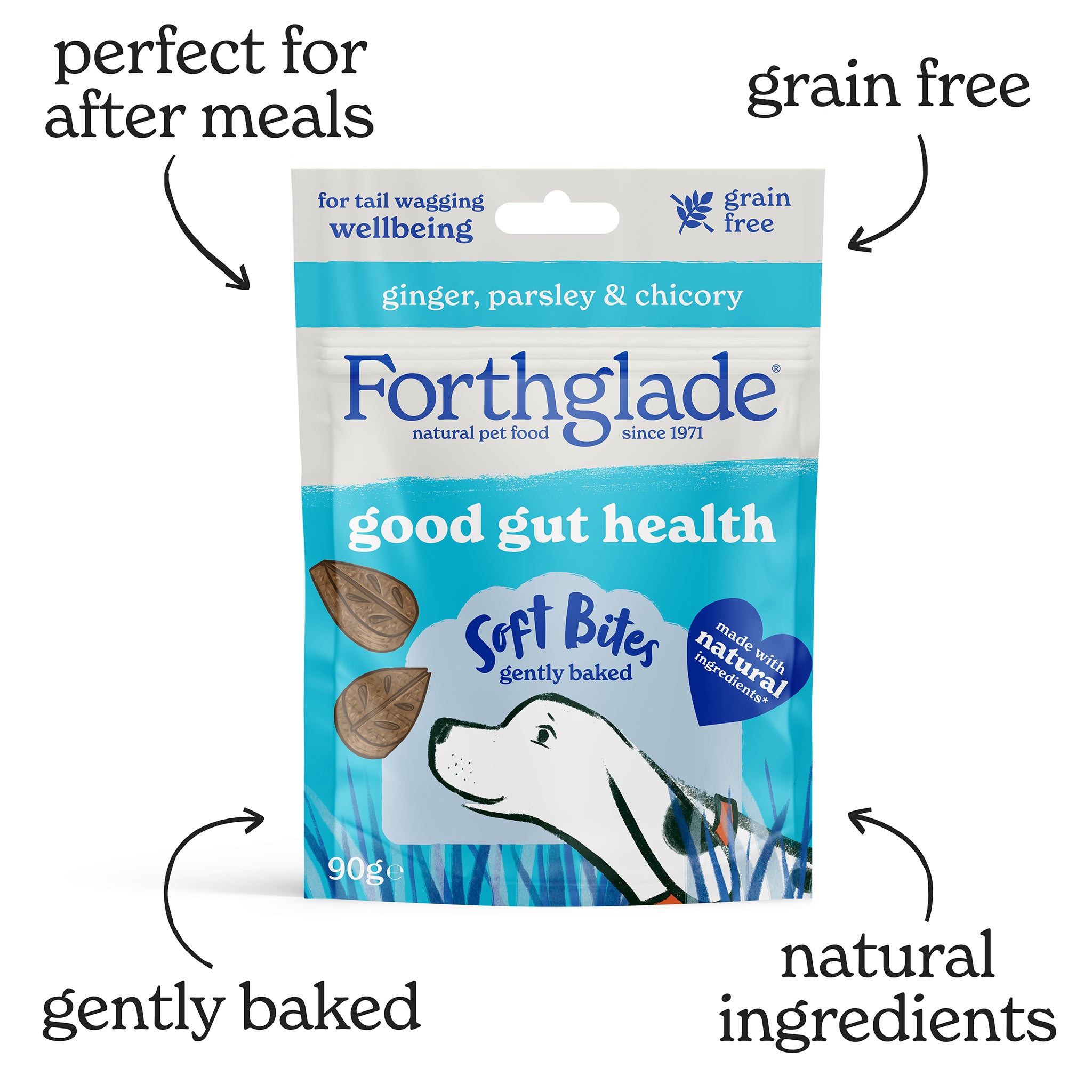 Soft Bites Multifunctional Dog Treats Multipack