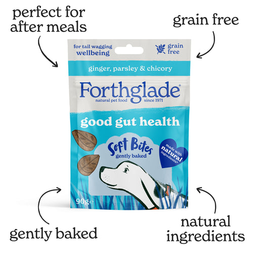 Digestive Health Multi-Functional Soft Bites With Parsley, Ginger & Chicory