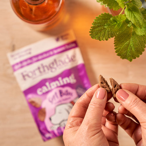 Calming Dog Treats with Camomile & Lavender