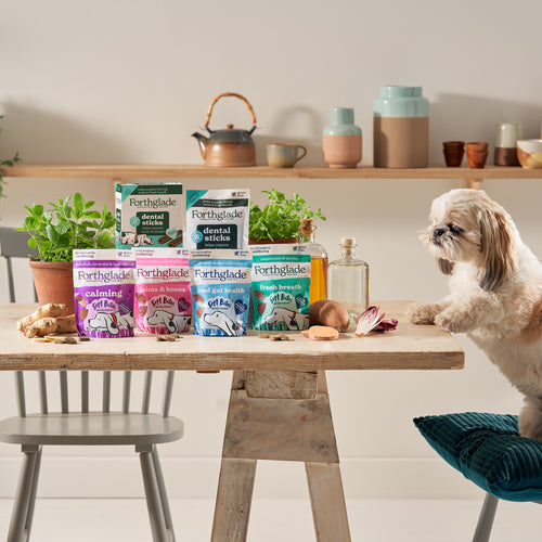 Calming Dog Treats: A Natural Solution for Anxious Pets Calming Dog Treats: A Natural Solution for Anxious Pets