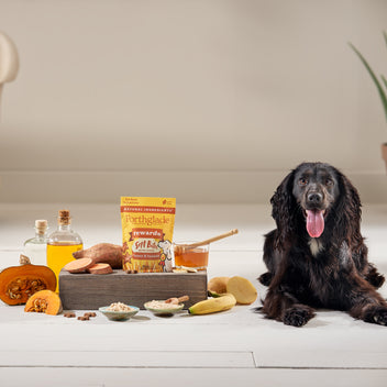Honey & Banana Dog Treats for Training & Rewards | Forthglade - Banana Based Dog Rewards