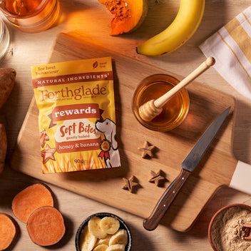 Picture of Honey & Banana Dog Treats for Training & Rewards | Forthglade