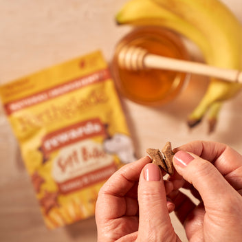 Honey & Banana Dog Treats for Training & Rewards | Forthglade
