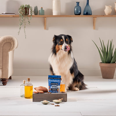 Calming Dog Treats | Calming Soft Bites With Turkey | Forthglade