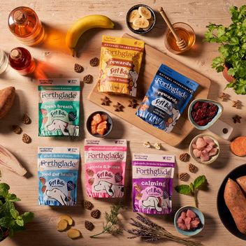 Image showcasing Honey & Banana Dog Treats for Training & Rewards | Forthglade