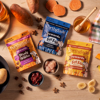 Honey Banana Dog Treats For Training Rewards Photo Inspiration