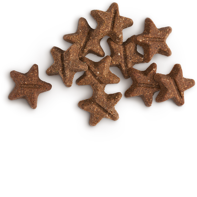 MFSB Rewards Star Pile