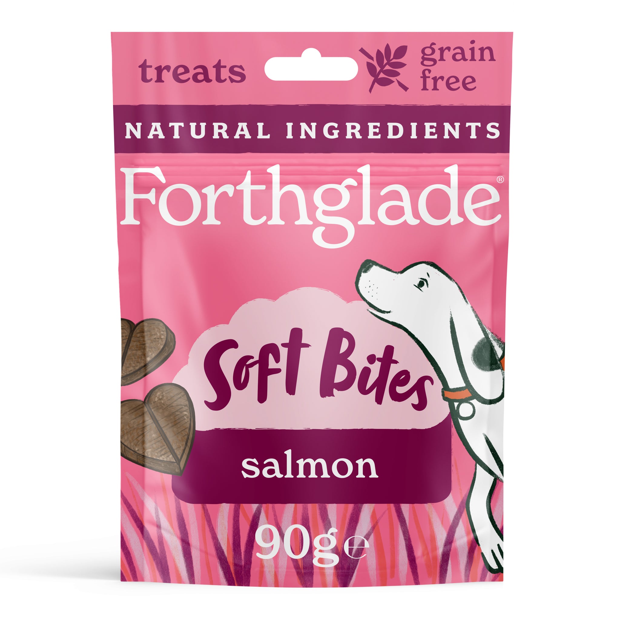 Salmon Dog Treats (1 x 90g)