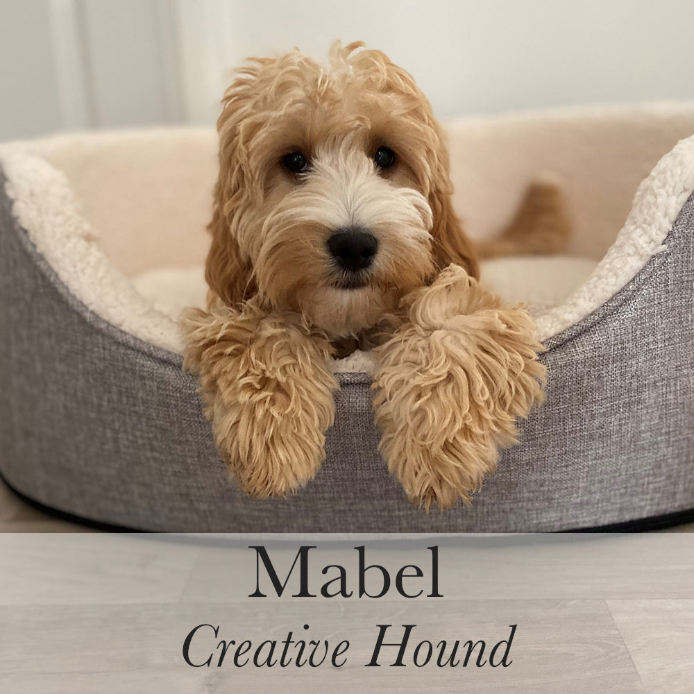 Mabel Creative Hound