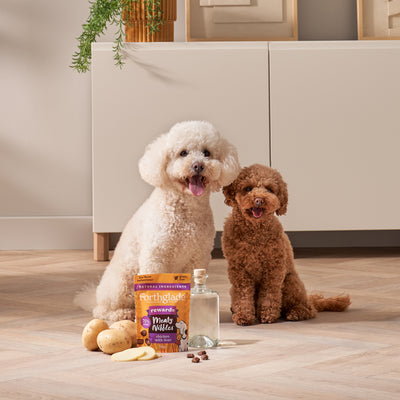 Meaty Nibbles Chicken & Liver Dog Treats