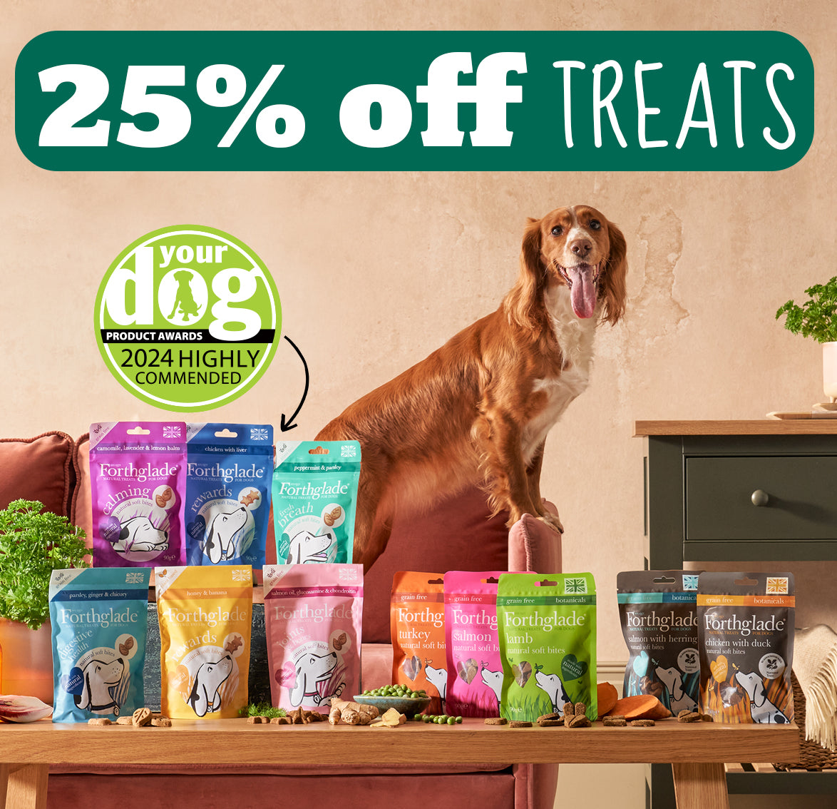 Only natural wholesome on sale homemade dog food