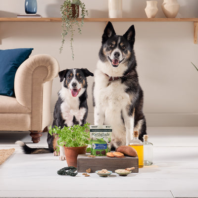 National Trust Salmon & Herring Dog Treats