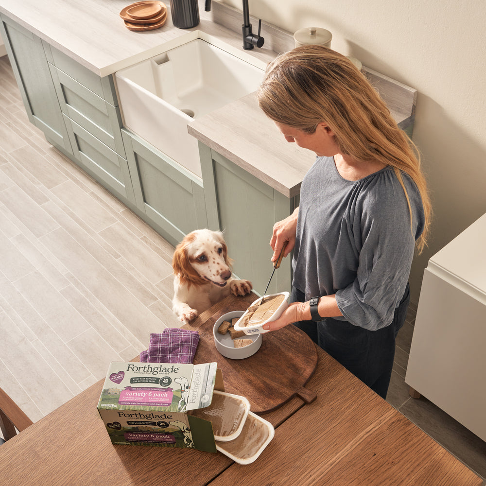 National Trust Gourmet Wet Dog Food Variety Pack