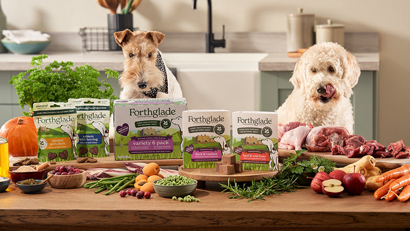 NT Dog Food ranges section