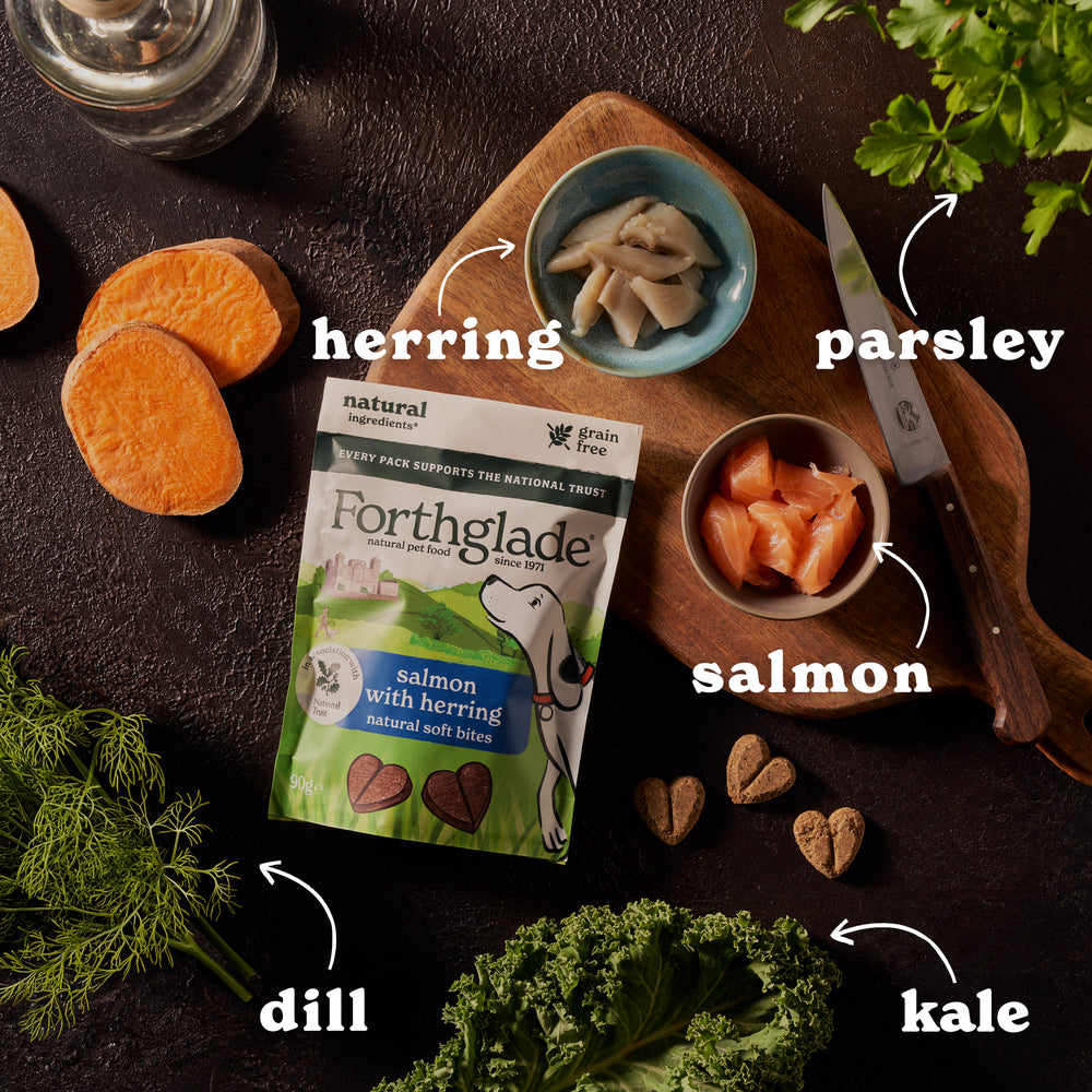 National Trust Salmon & Herring Dog Treats