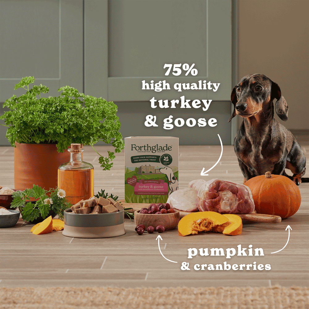 National Trust Gourmet Wet Dog Food Variety Pack
