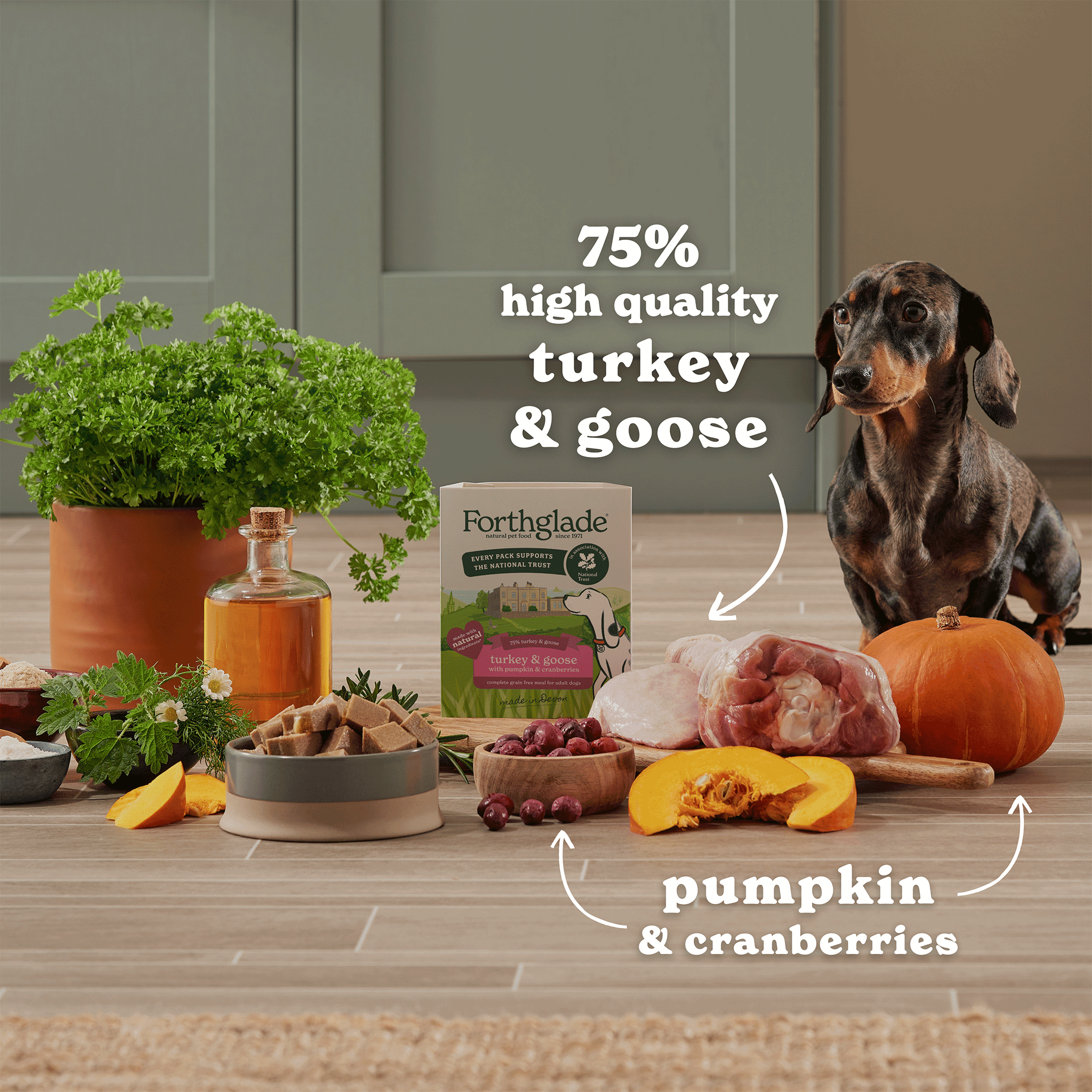 National Trust Gourmet Wet Dog Food Variety Pack