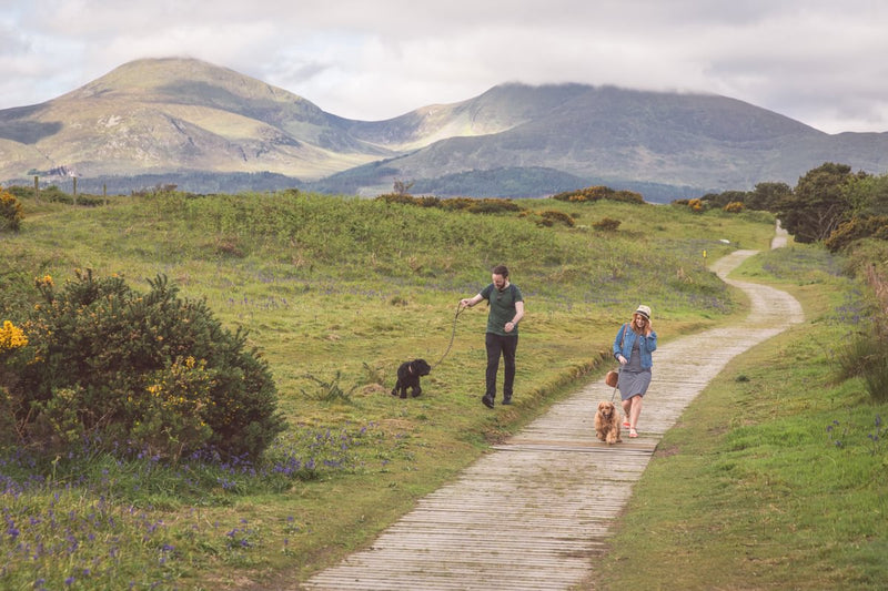 National Trust Hiking imagery   Medium 1