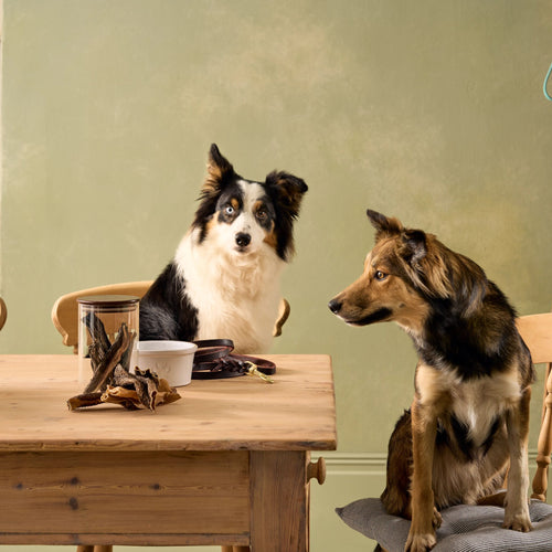 Natural Cuts Air Dried Beef Tripe - Meaty Dog Treats