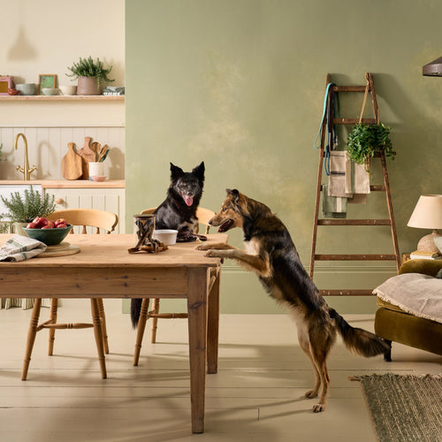 Natural Cuts Air Dried Beef Tripe - Meaty Dog Treats