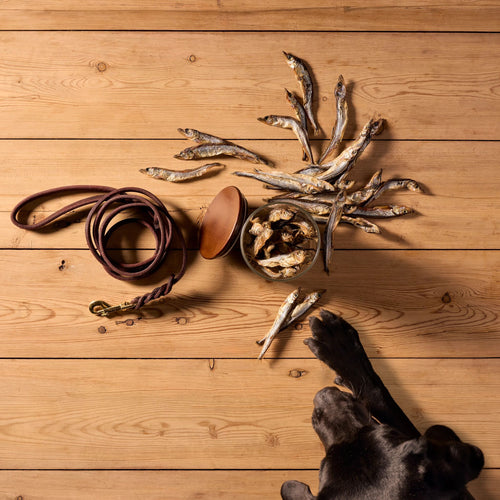 Natural Cuts Air Dried Capelin Treats - Fishy Dog Treats