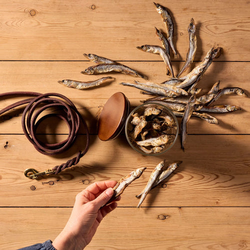 Natural Cuts Air Dried Capelin Treats - Fishy Dog Treats