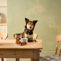 Natural Cuts Air Dried Pigs Ear Strips - Meaty Dog Treats