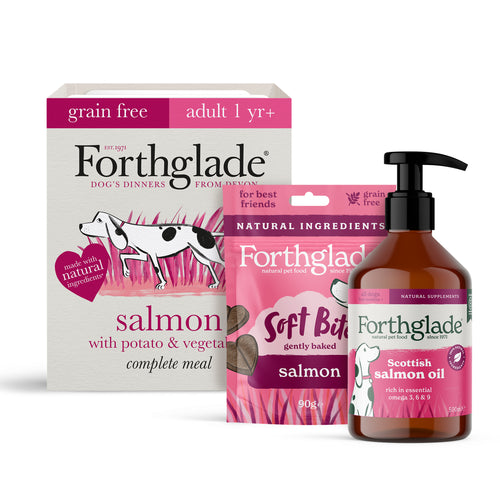 Salmon Wet Dog Food, Treats & Supplements Bundle