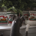 Christmas Classics Cranberry & Parsnip Wet Dog Food