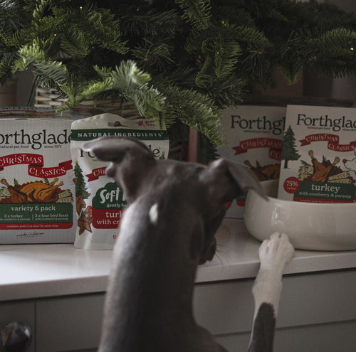 Christmas Classics Cranberry & Parsnip Wet Dog Food