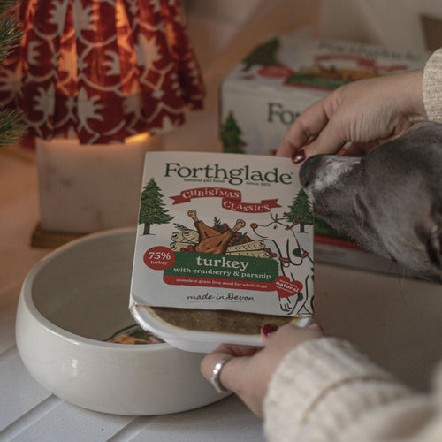 Black Friday Exclusive - Mega Christmas Box