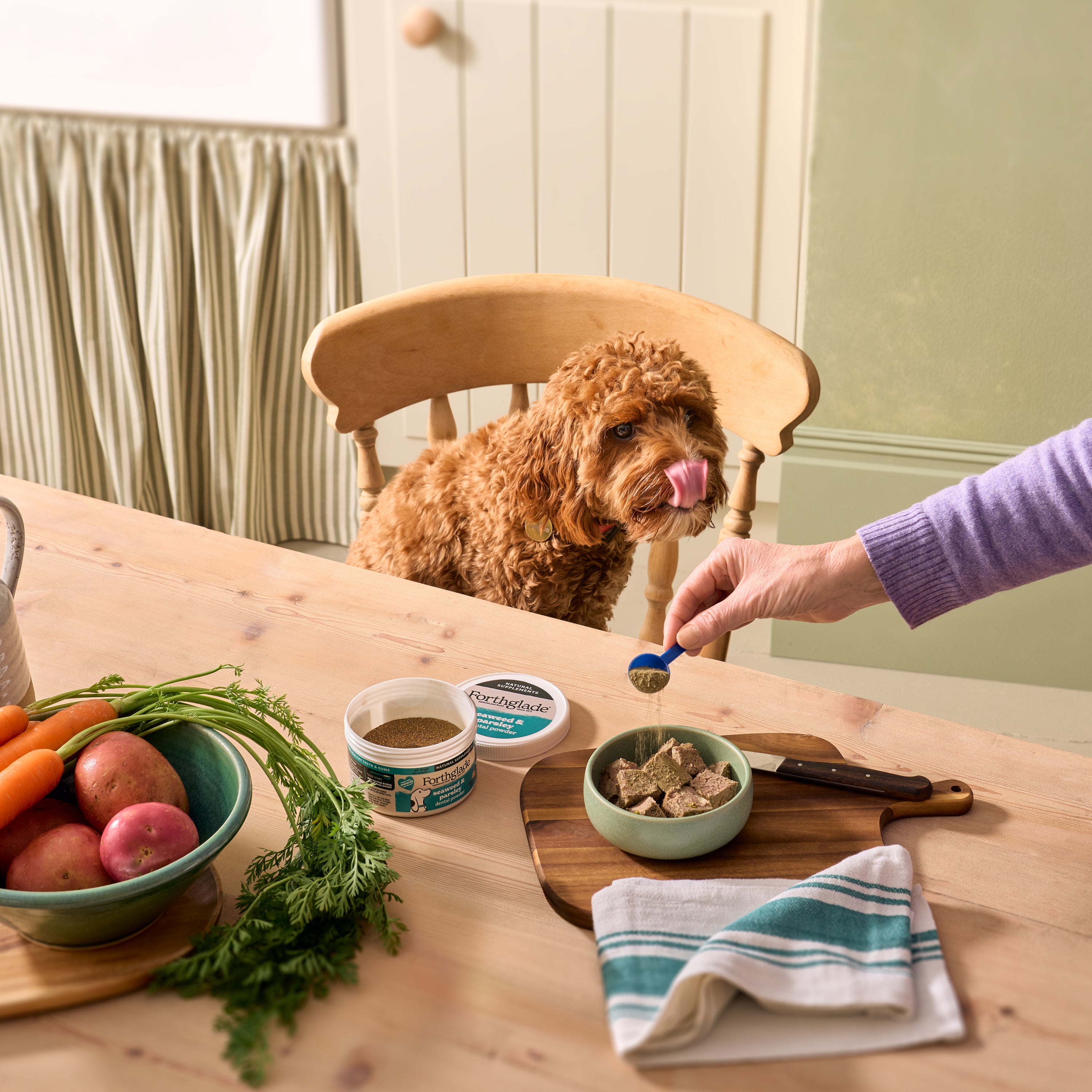Dental Powder for Dogs