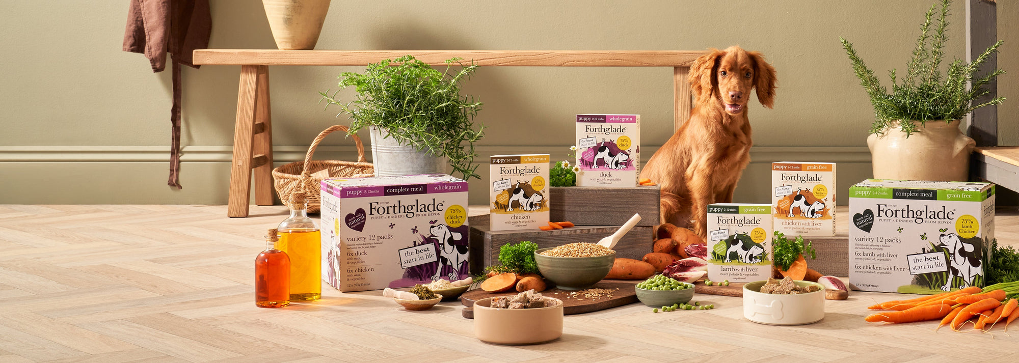 Puppy dog food header desktop