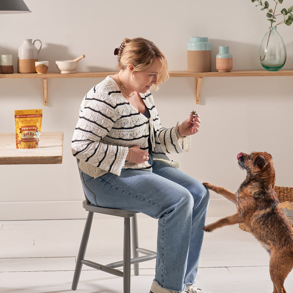 Rewards Honey & Banana Dog Training Treats
