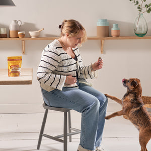 Rewards Honey & Banana Dog Training Treats