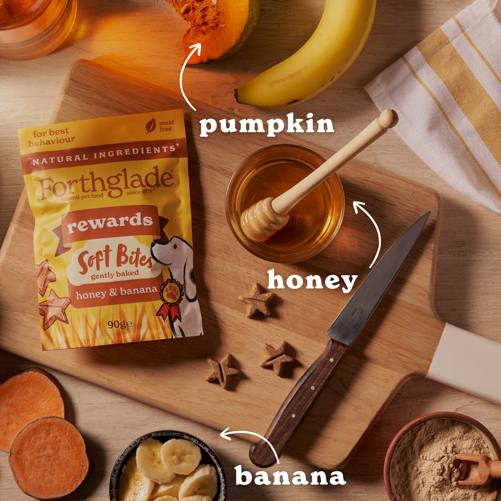 Rewards Honey & Banana Dog Training Treats