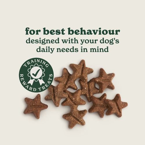 Rewards Chicken & Liver Dog Training Treats