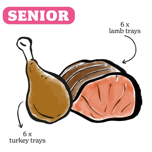 Grain Free Turkey & Lamb Senior Dog Food - Small Breeds