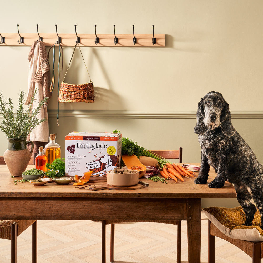 Senior Turkey & Lamb Wet Dog Food Variety Pack